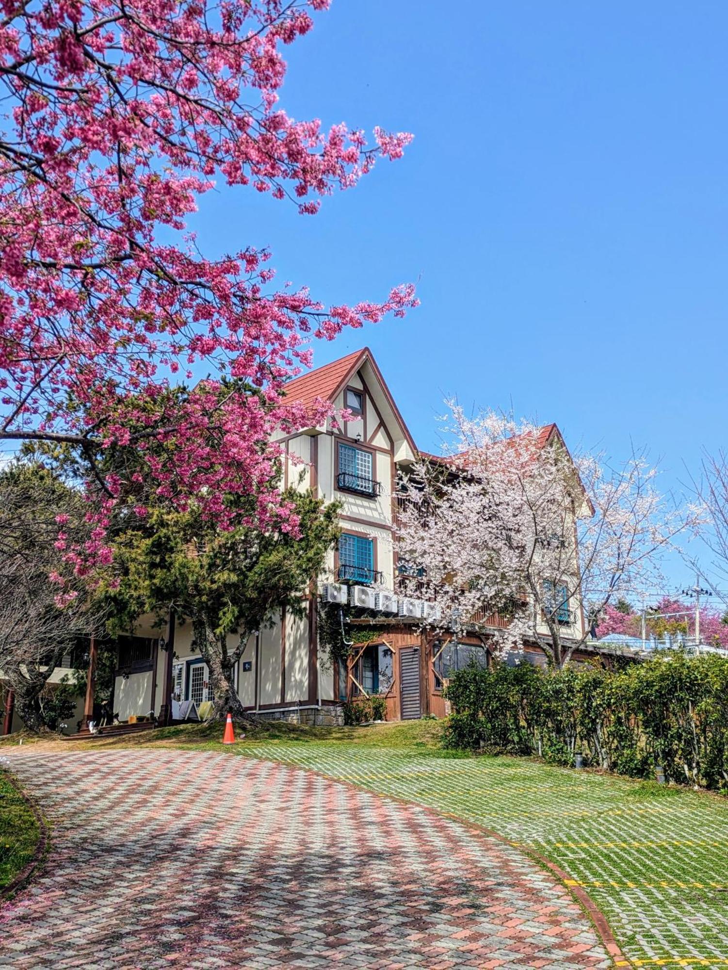 清境 百里莊園 Baili Manor Cing Jing Lägenhet Renai Exteriör bild