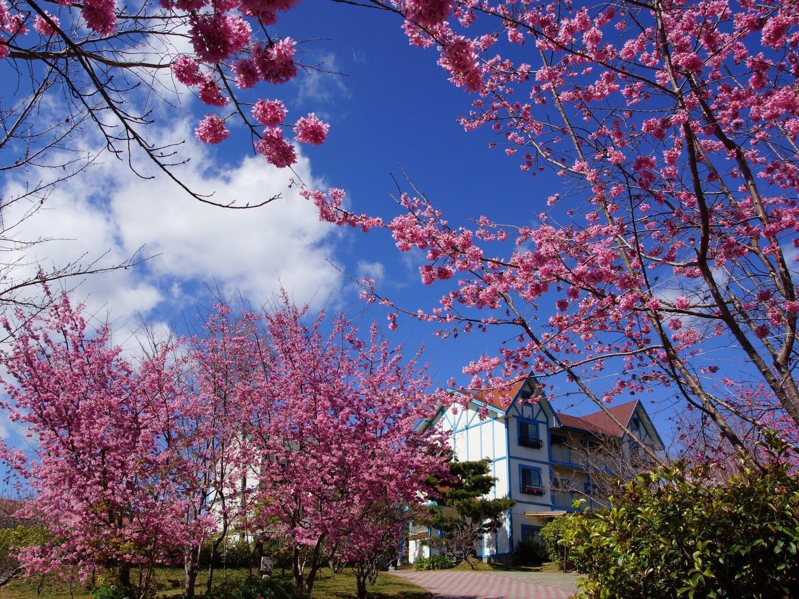 清境 百里莊園 Baili Manor Cing Jing Lägenhet Renai Exteriör bild